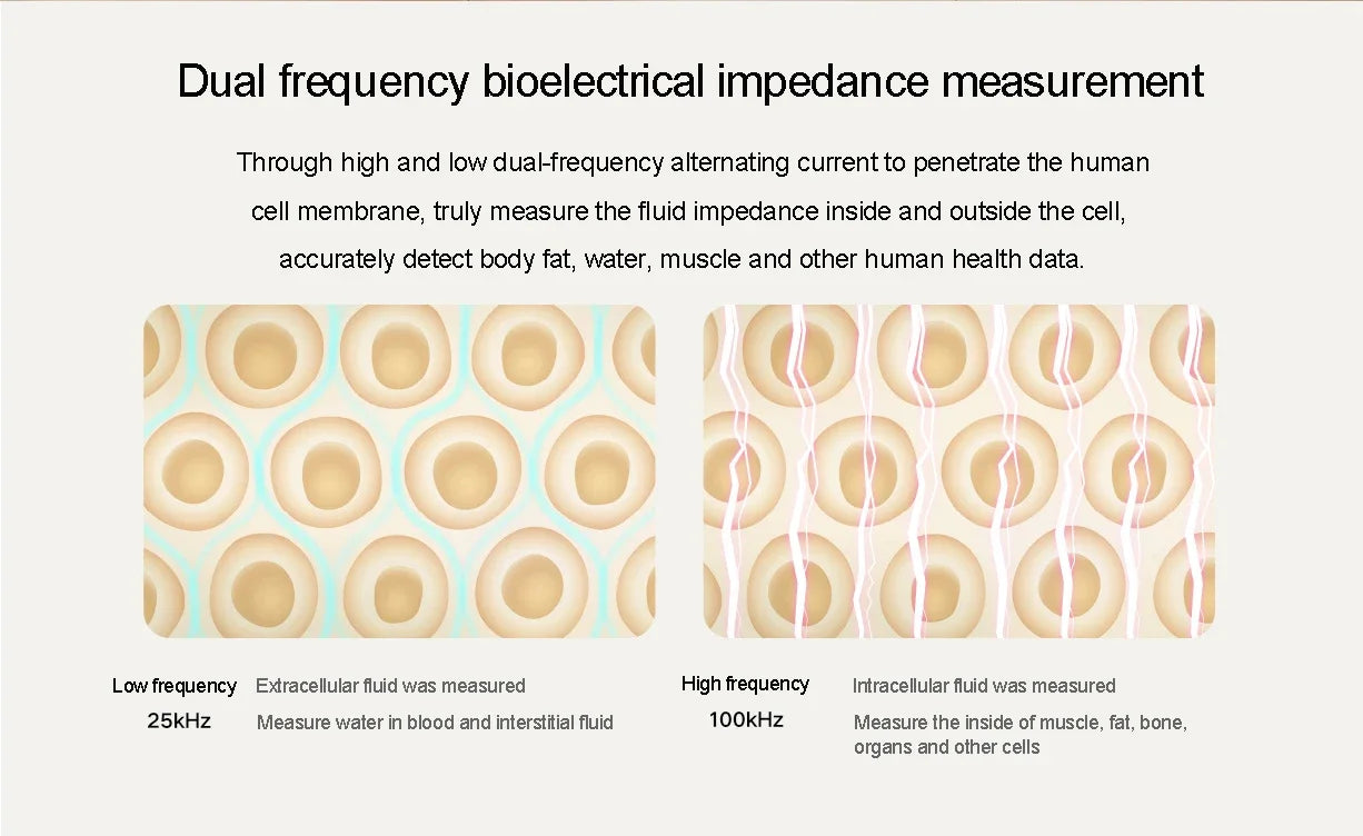 XIAOMI Телесна везна S400 Mijia Smart Home Телесна везна 150KG Bluetooth 5.0 LED дисплей Двучестотно измерване