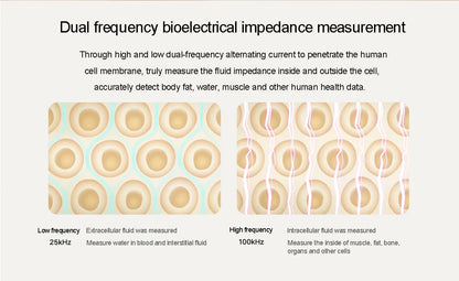XIAOMI Телесна везна S400 Mijia Smart Home Телесна везна 150KG Bluetooth 5.0 LED дисплей Двучестотно измерване